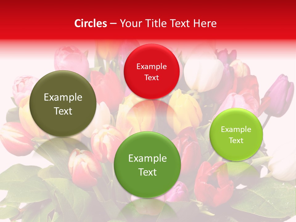 Flowers Tulip Bouquet PowerPoint Template