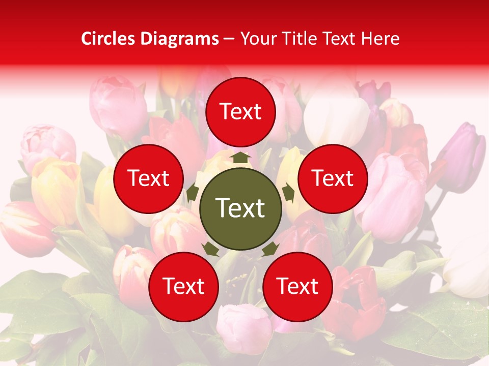 Flowers Tulip Bouquet PowerPoint Template