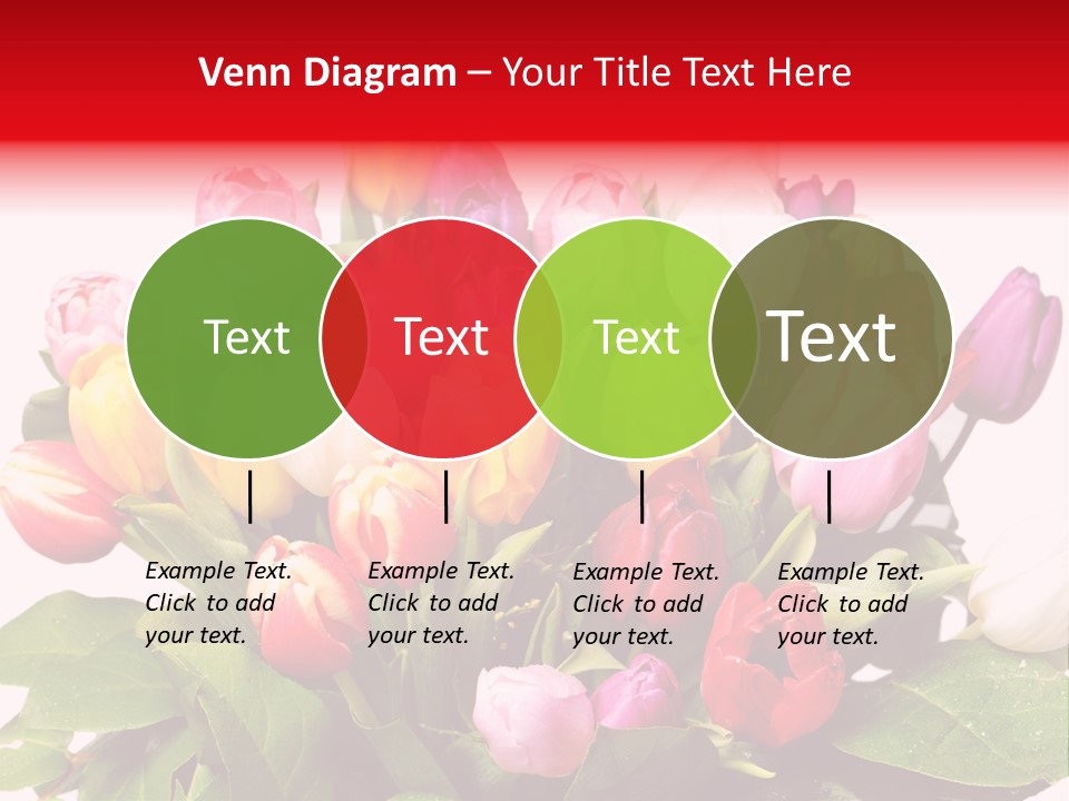 Flowers Tulip Bouquet PowerPoint Template