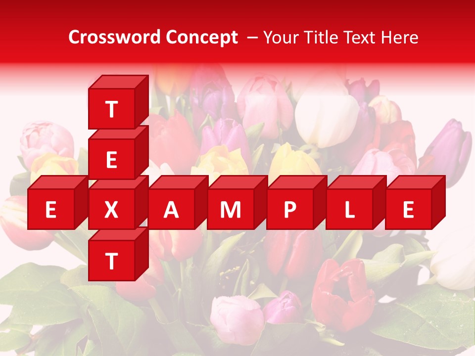 Flowers Tulip Bouquet PowerPoint Template