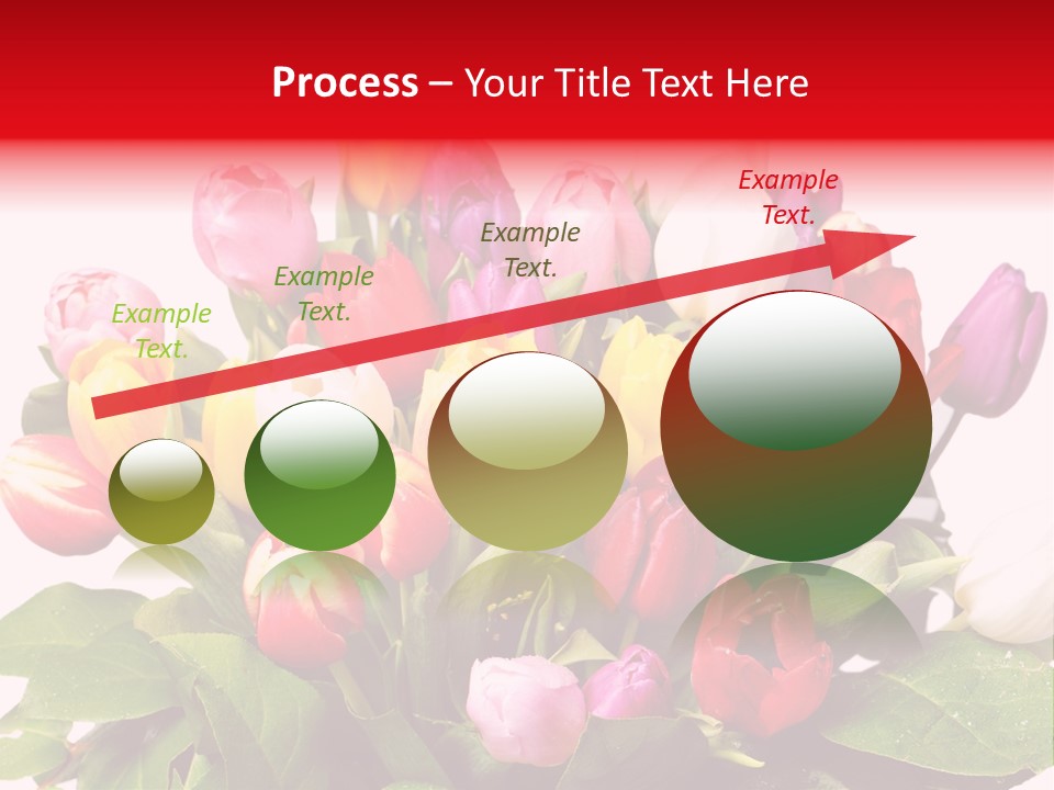 Flowers Tulip Bouquet PowerPoint Template