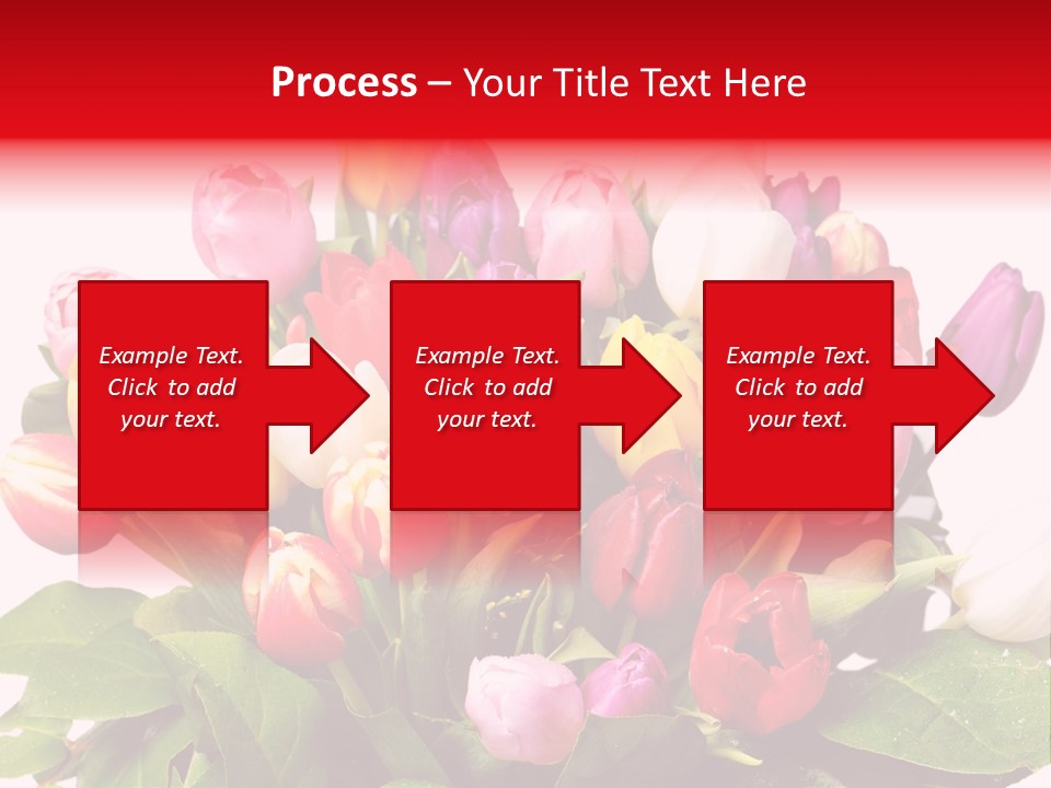 Flowers Tulip Bouquet PowerPoint Template