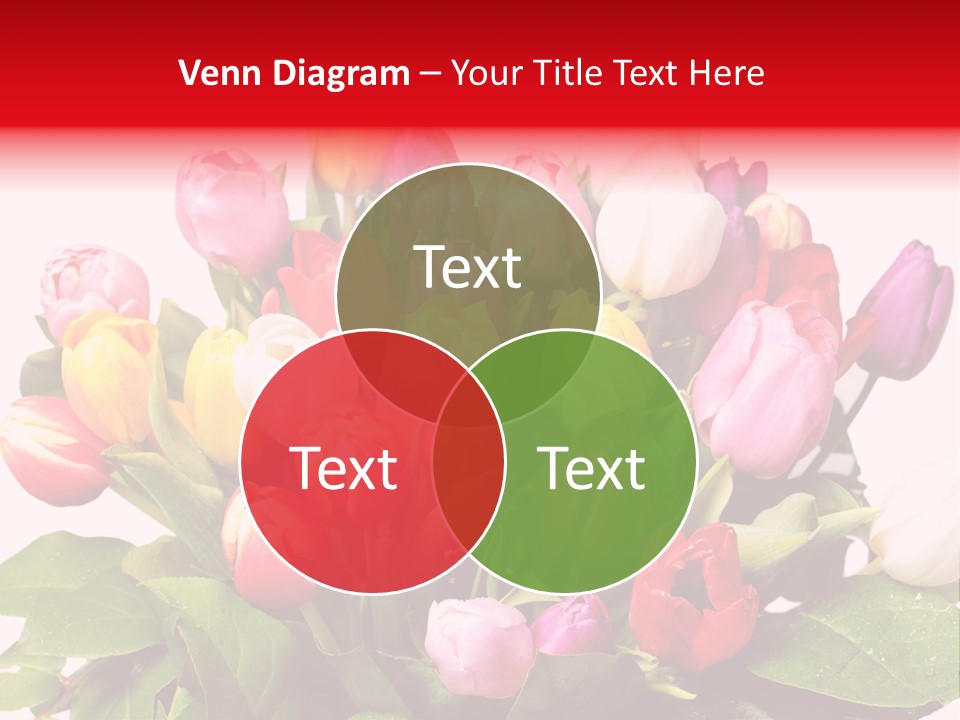 Flowers Tulip Bouquet PowerPoint Template