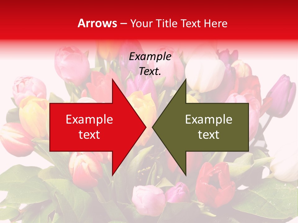 Flowers Tulip Bouquet PowerPoint Template