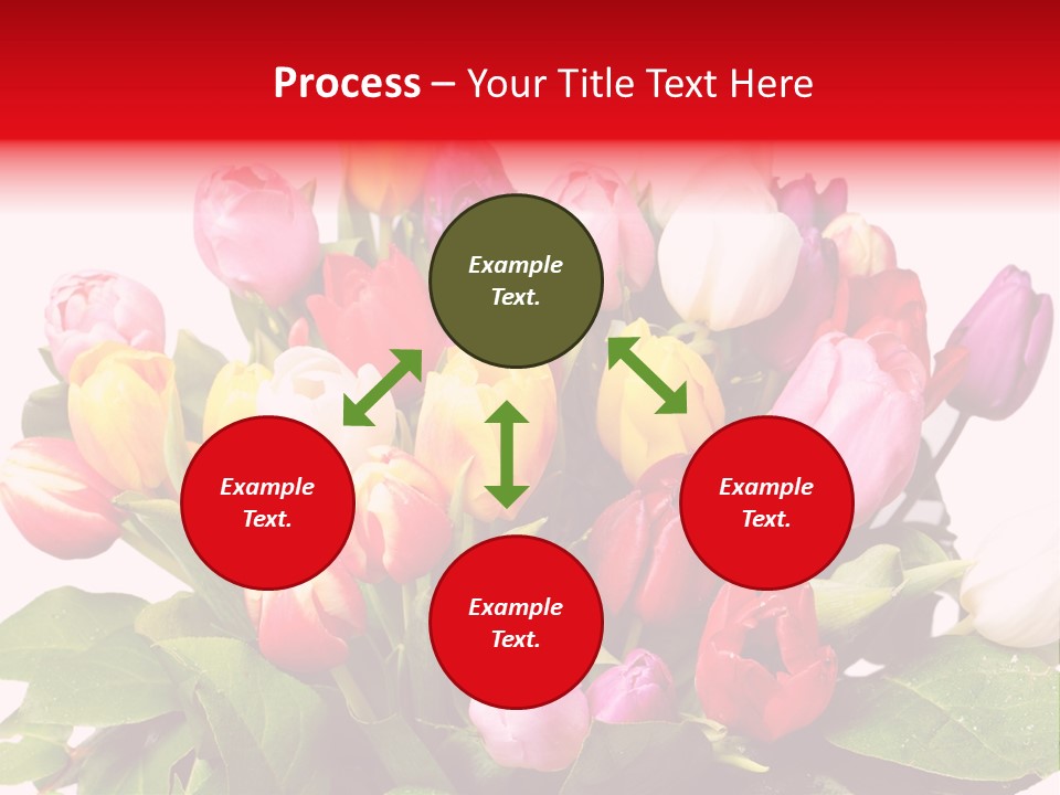 Flowers Tulip Bouquet PowerPoint Template