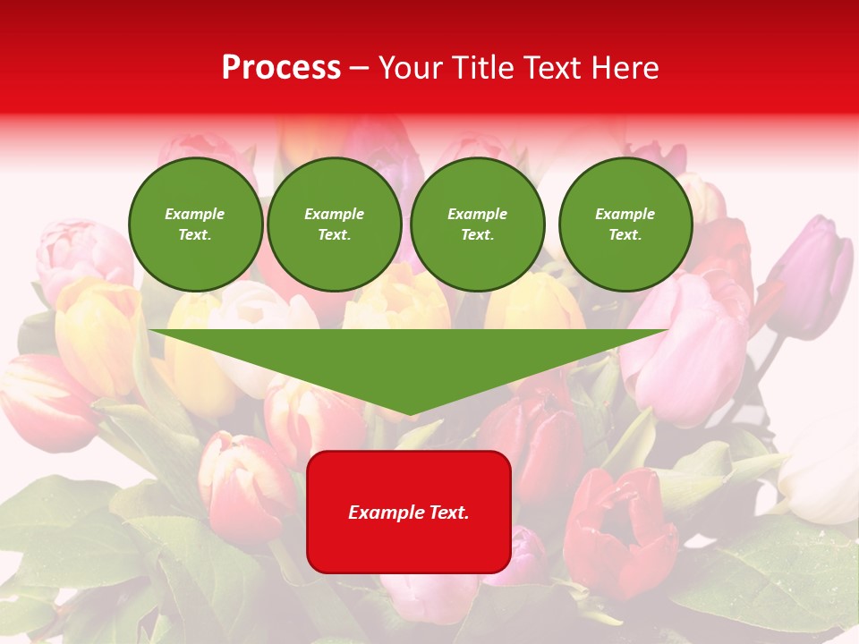 Flowers Tulip Bouquet PowerPoint Template