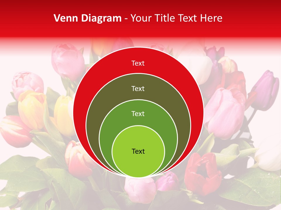 Flowers Tulip Bouquet PowerPoint Template