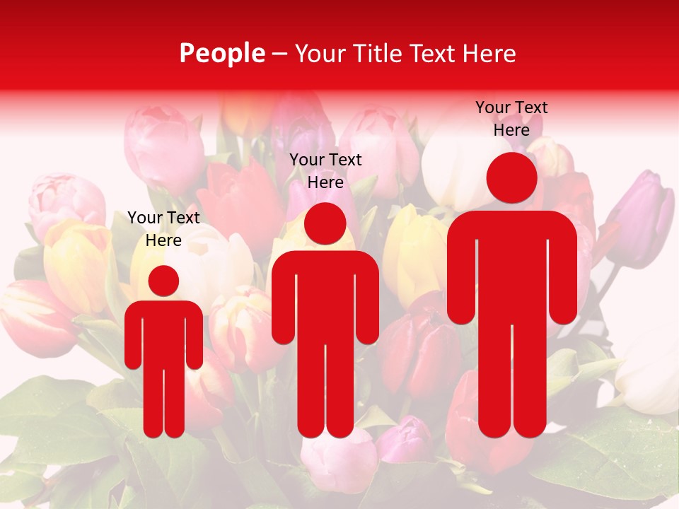 Flowers Tulip Bouquet PowerPoint Template