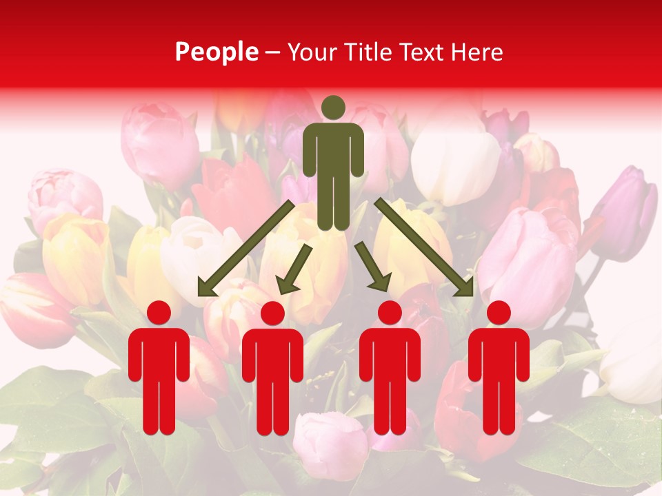 Flowers Tulip Bouquet PowerPoint Template