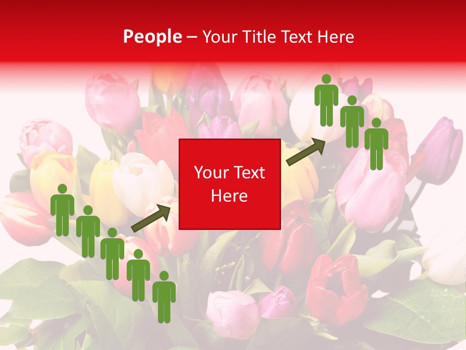 Flowers Tulip Bouquet PowerPoint Template