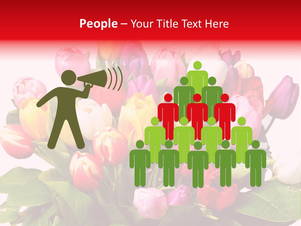 Flowers Tulip Bouquet PowerPoint Template