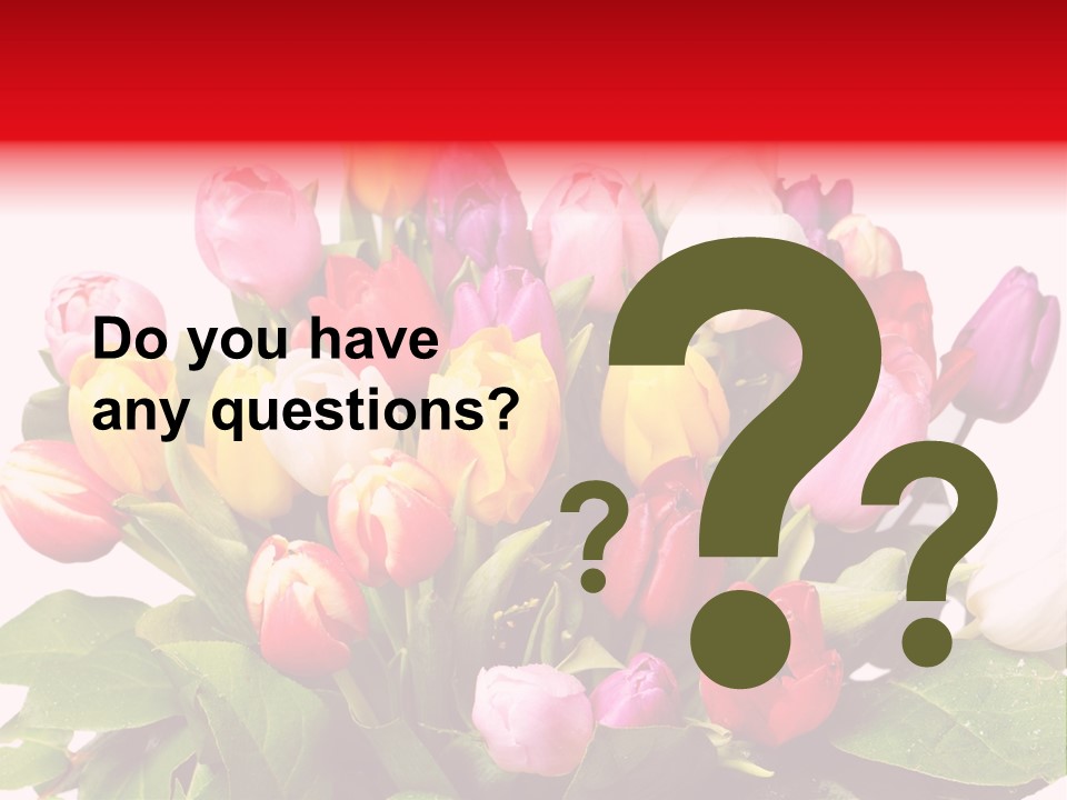 Flowers Tulip Bouquet PowerPoint Template