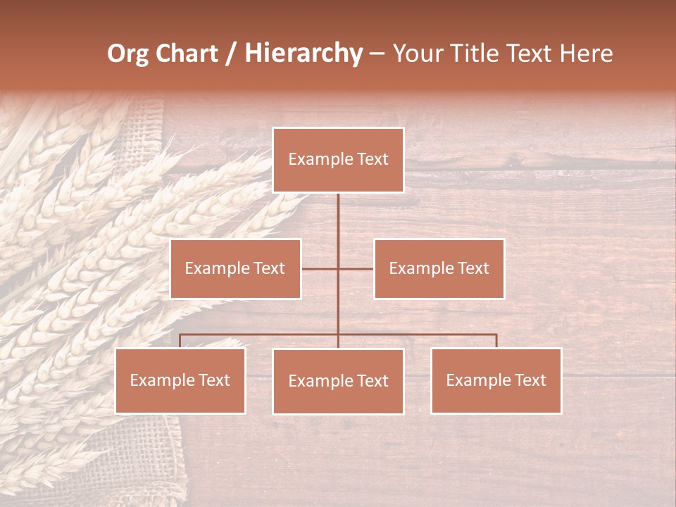 Cereals Dark Wood PowerPoint Template