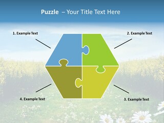 Pathway PowerPoint Template