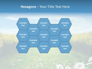 Pathway PowerPoint Template