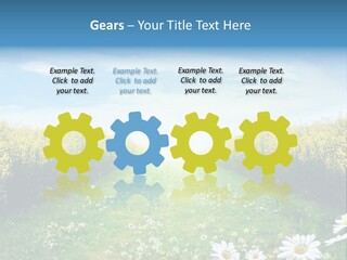 Pathway PowerPoint Template