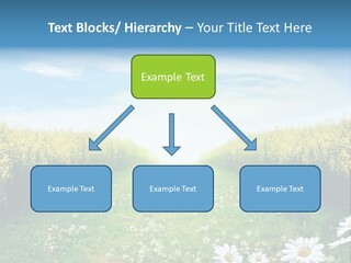 Pathway PowerPoint Template