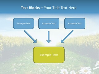 Pathway PowerPoint Template