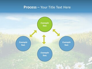 Pathway PowerPoint Template