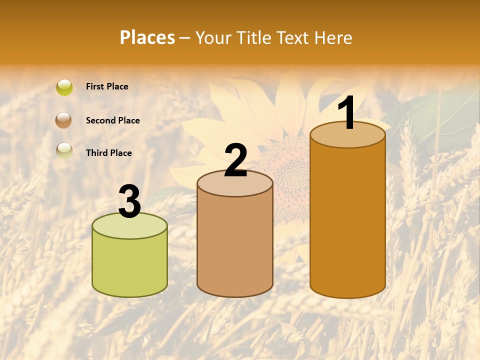Wheat And Sunflower PowerPoint Template