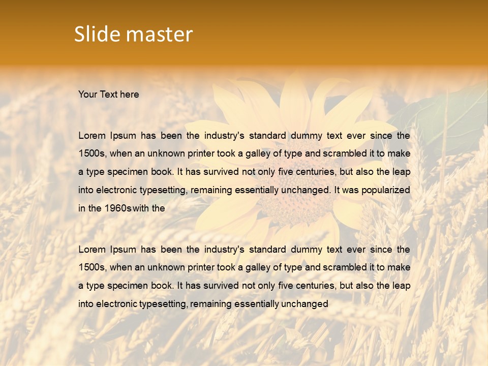Wheat And Sunflower PowerPoint Template