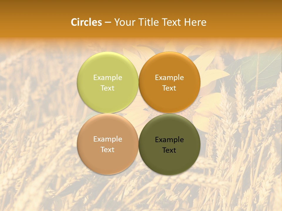 Wheat And Sunflower PowerPoint Template