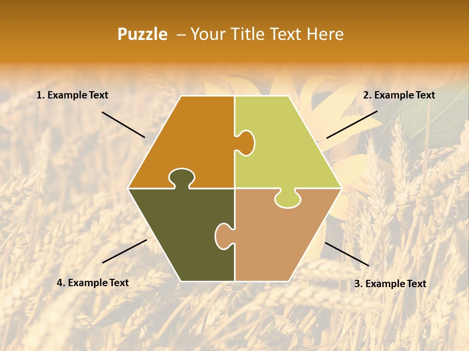 Wheat And Sunflower PowerPoint Template