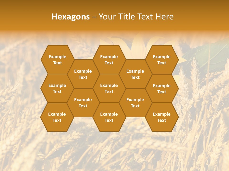 Wheat And Sunflower PowerPoint Template