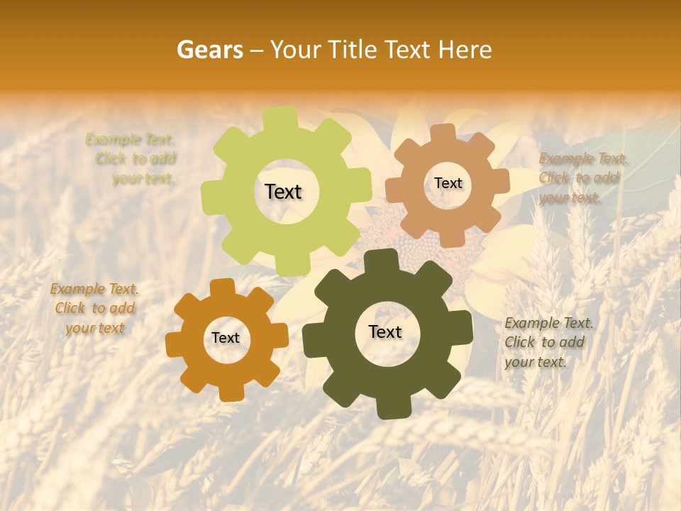 Wheat And Sunflower PowerPoint Template