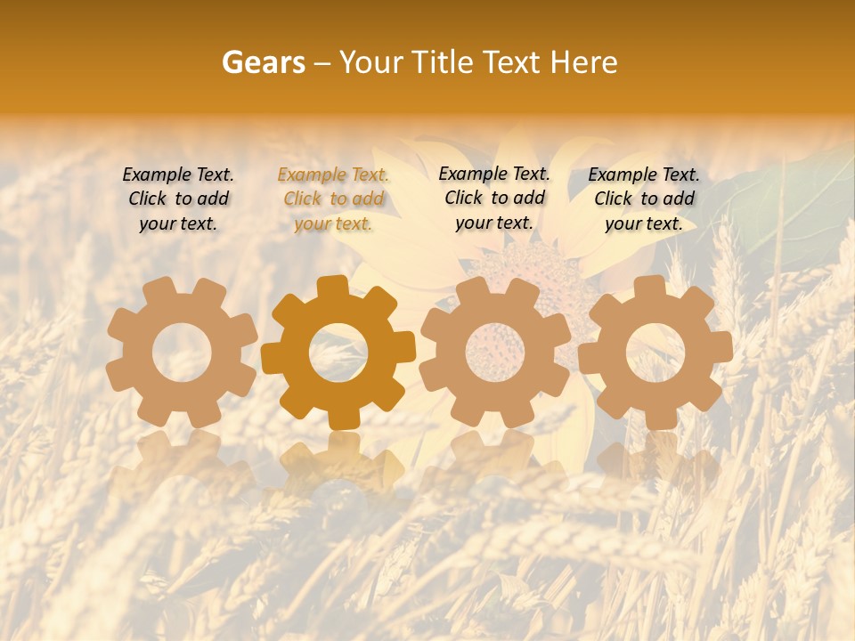 Wheat And Sunflower PowerPoint Template