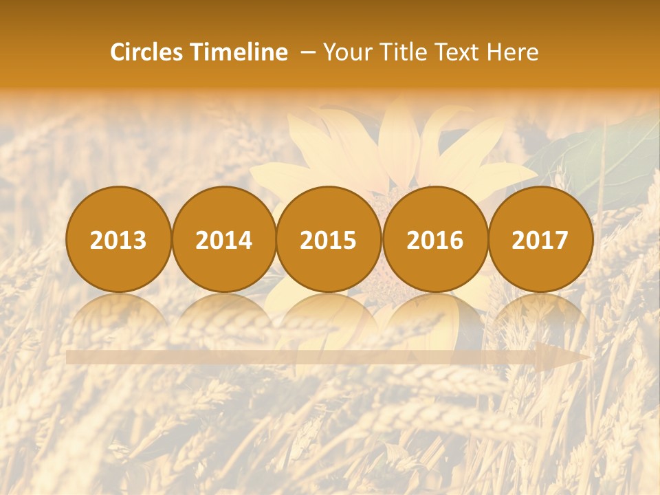 Wheat And Sunflower PowerPoint Template