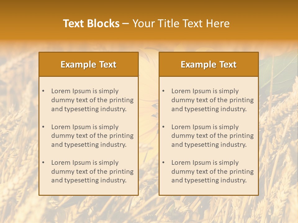 Wheat And Sunflower PowerPoint Template