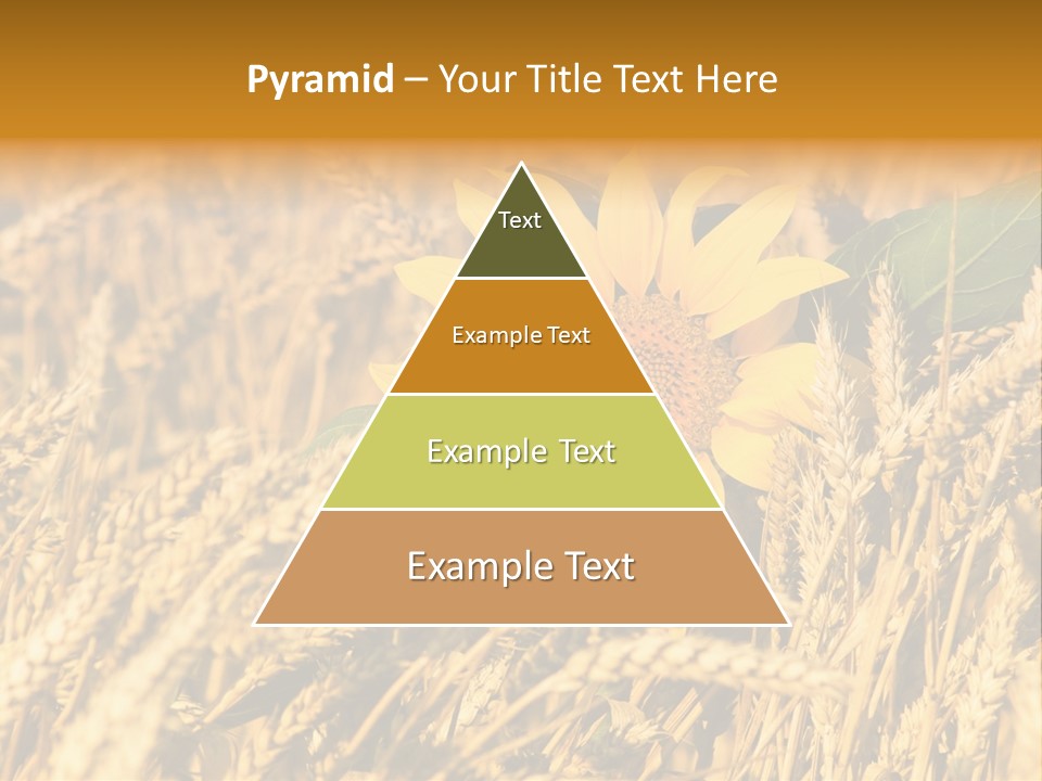 Wheat And Sunflower PowerPoint Template