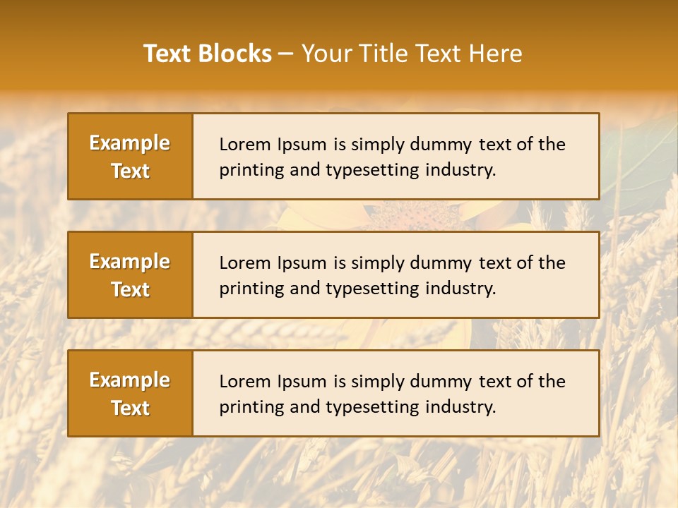 Wheat And Sunflower PowerPoint Template