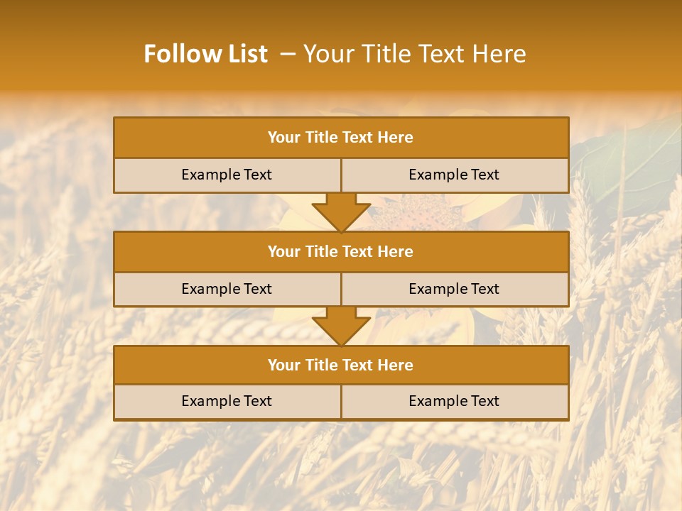 Wheat And Sunflower PowerPoint Template