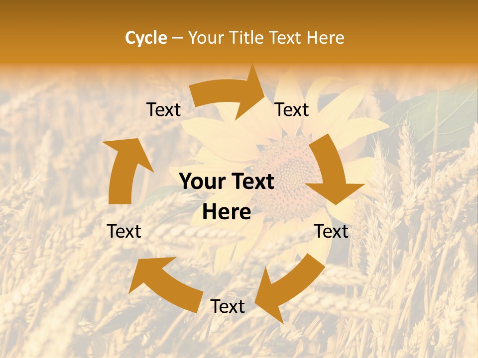 Wheat And Sunflower PowerPoint Template