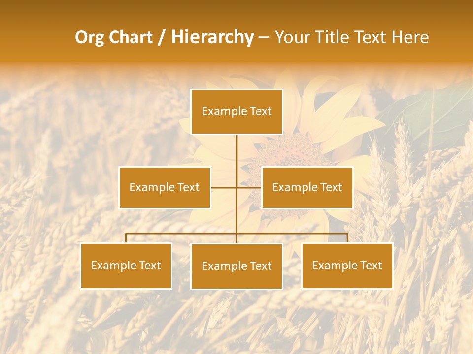 Wheat And Sunflower PowerPoint Template