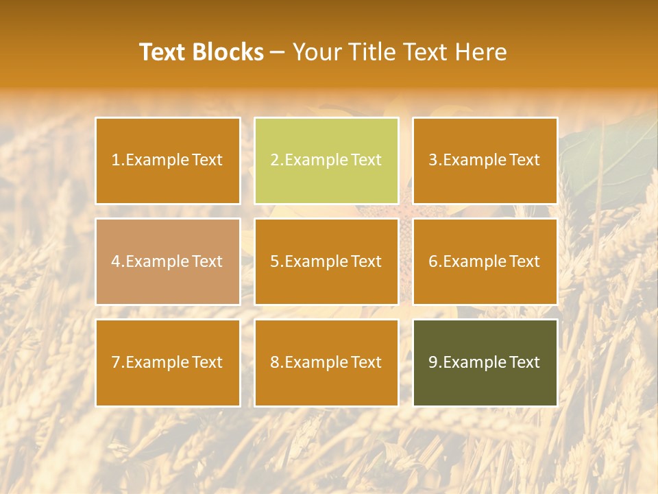 Wheat And Sunflower PowerPoint Template