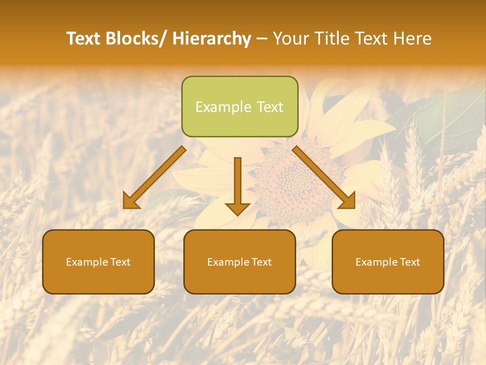 Wheat And Sunflower PowerPoint Template