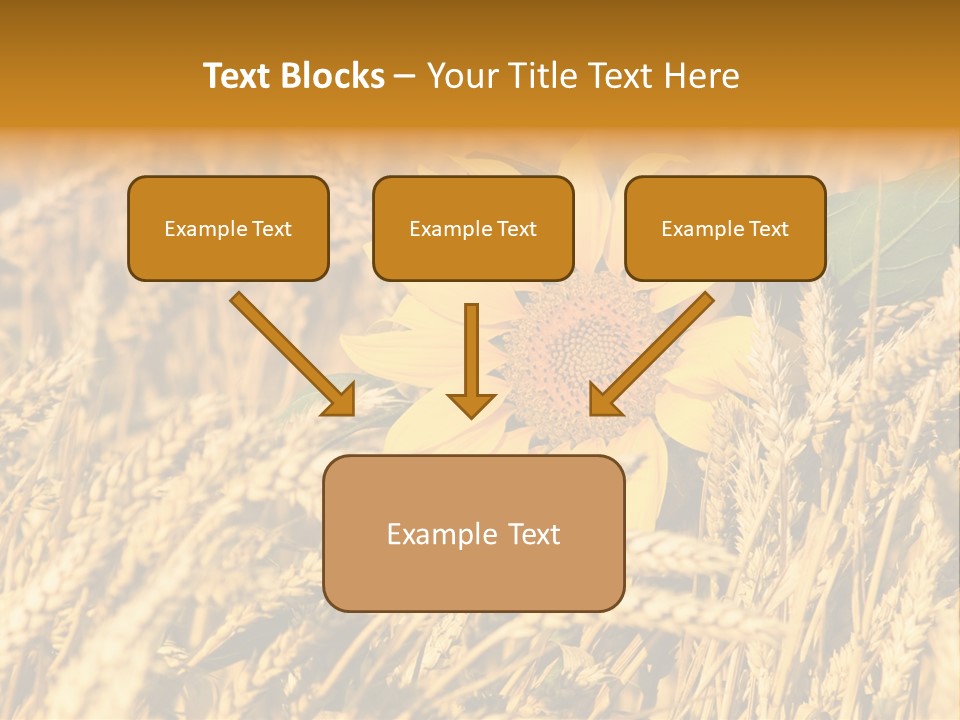Wheat And Sunflower PowerPoint Template