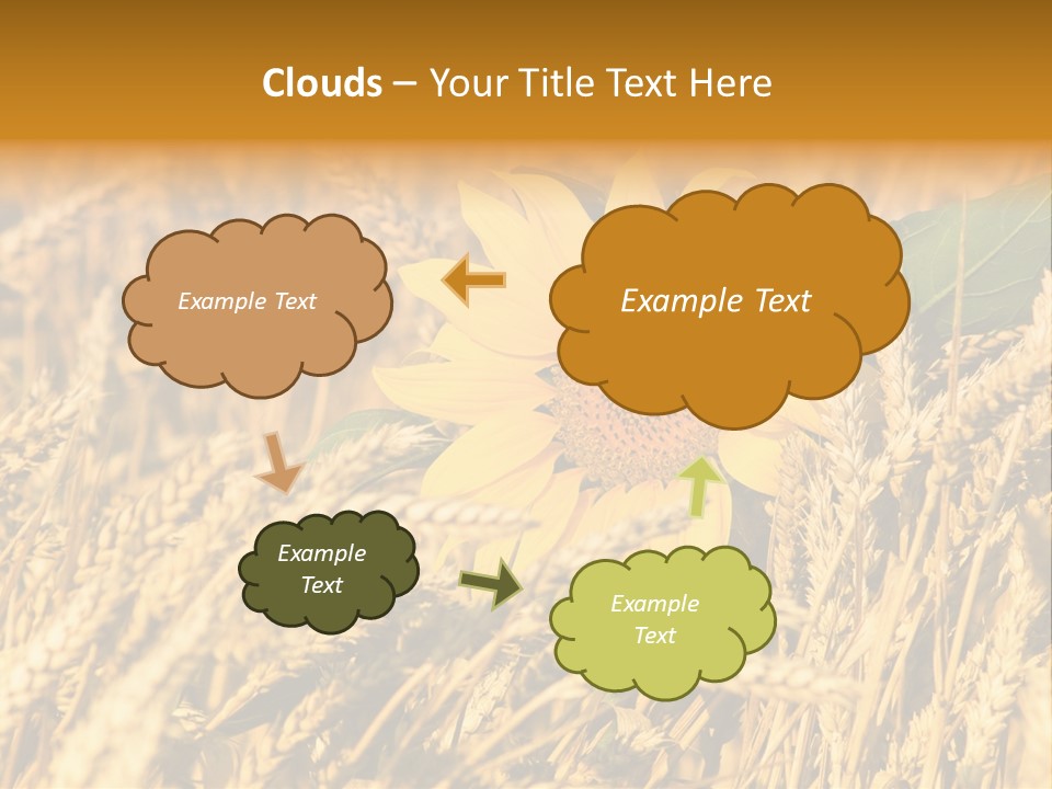 Wheat And Sunflower PowerPoint Template
