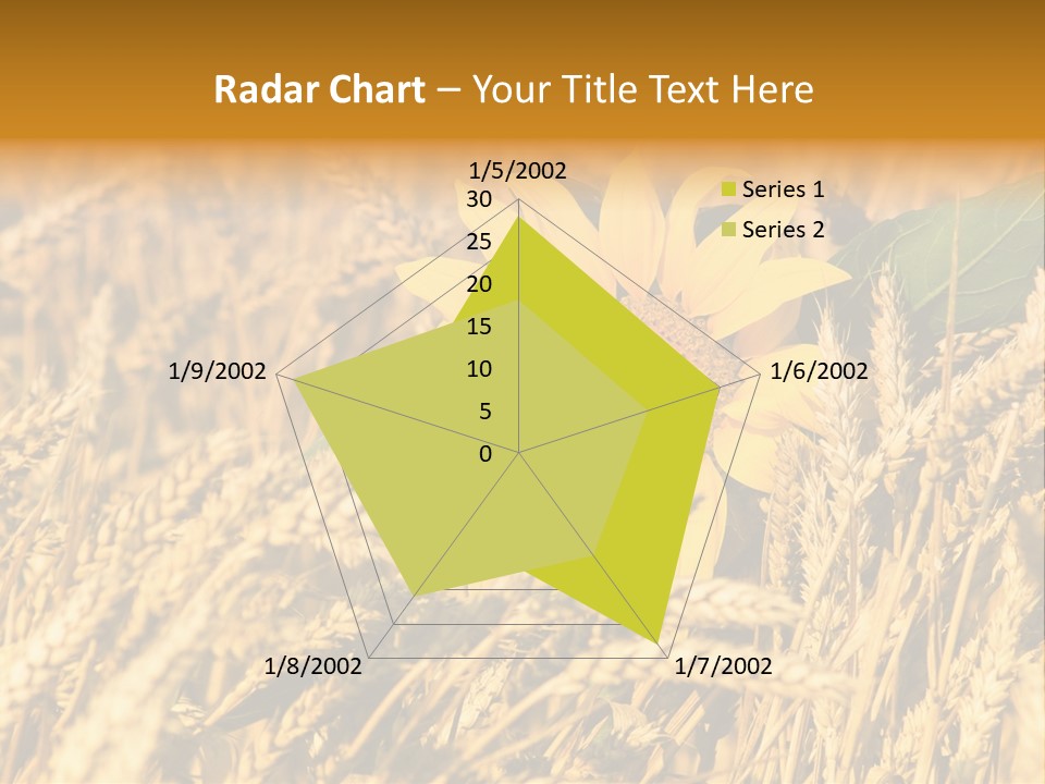 Wheat And Sunflower PowerPoint Template