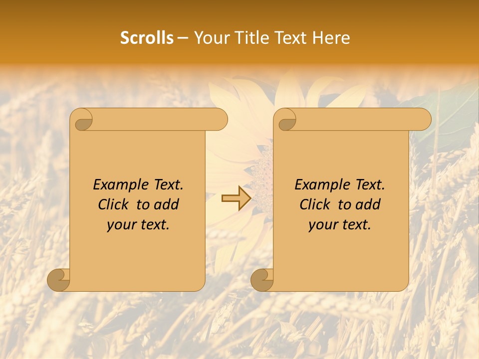 Wheat And Sunflower PowerPoint Template
