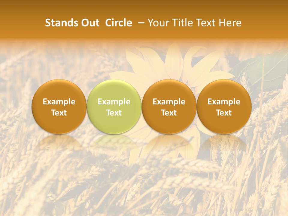 Wheat And Sunflower PowerPoint Template
