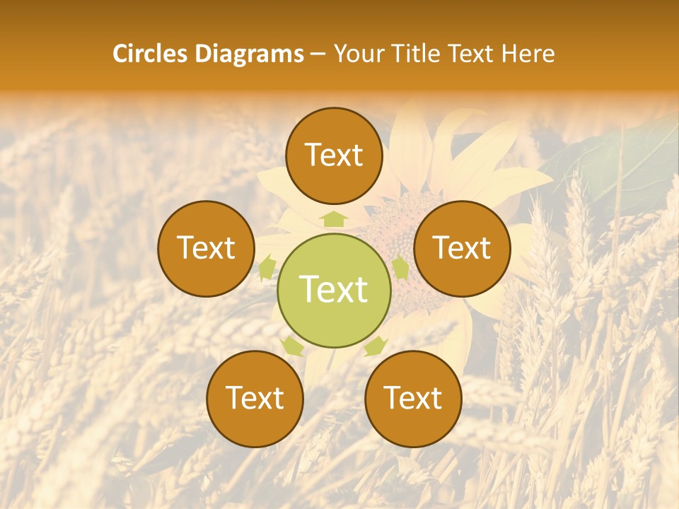 Wheat And Sunflower PowerPoint Template