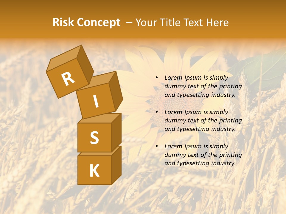 Wheat And Sunflower PowerPoint Template