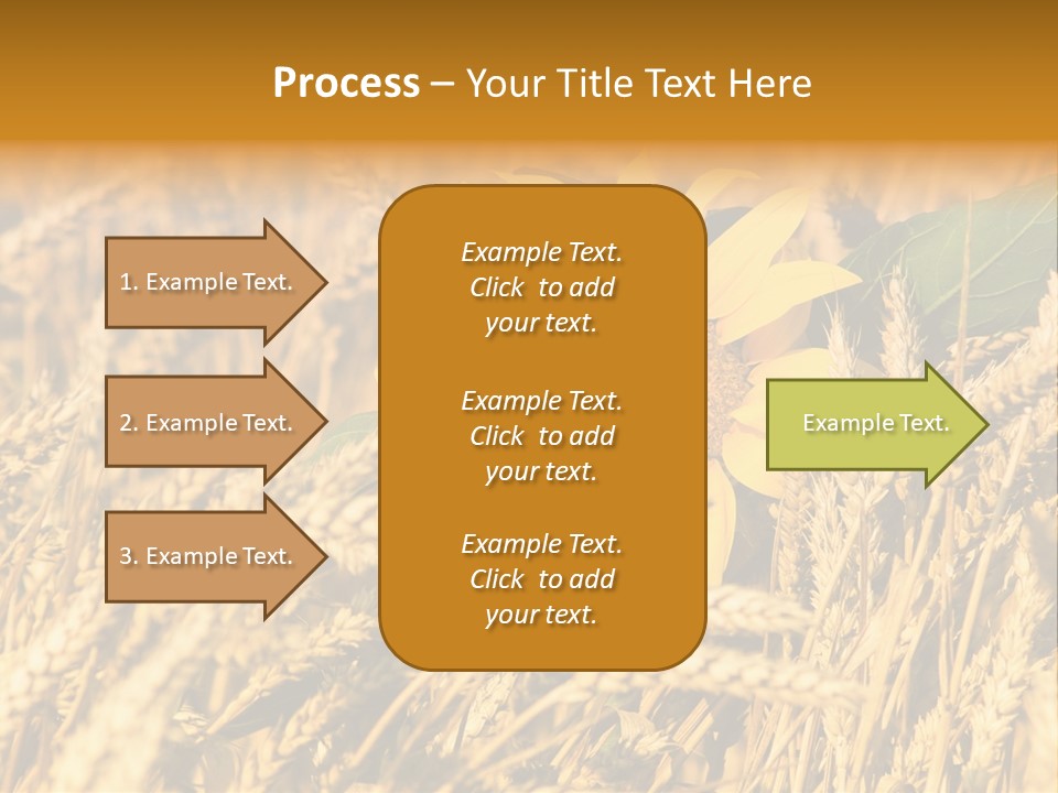 Wheat And Sunflower PowerPoint Template