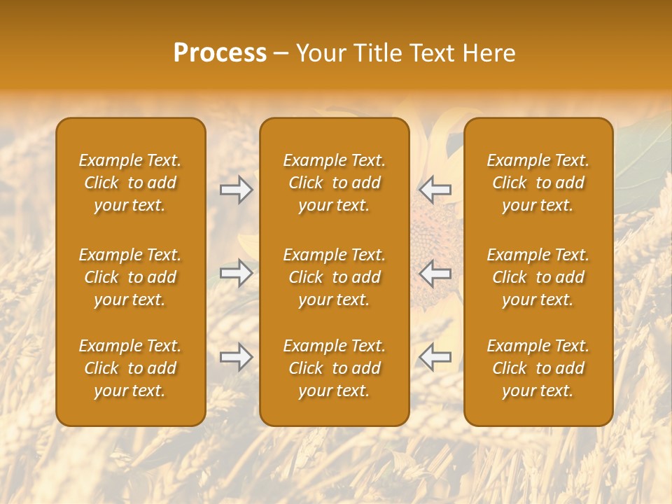 Wheat And Sunflower PowerPoint Template