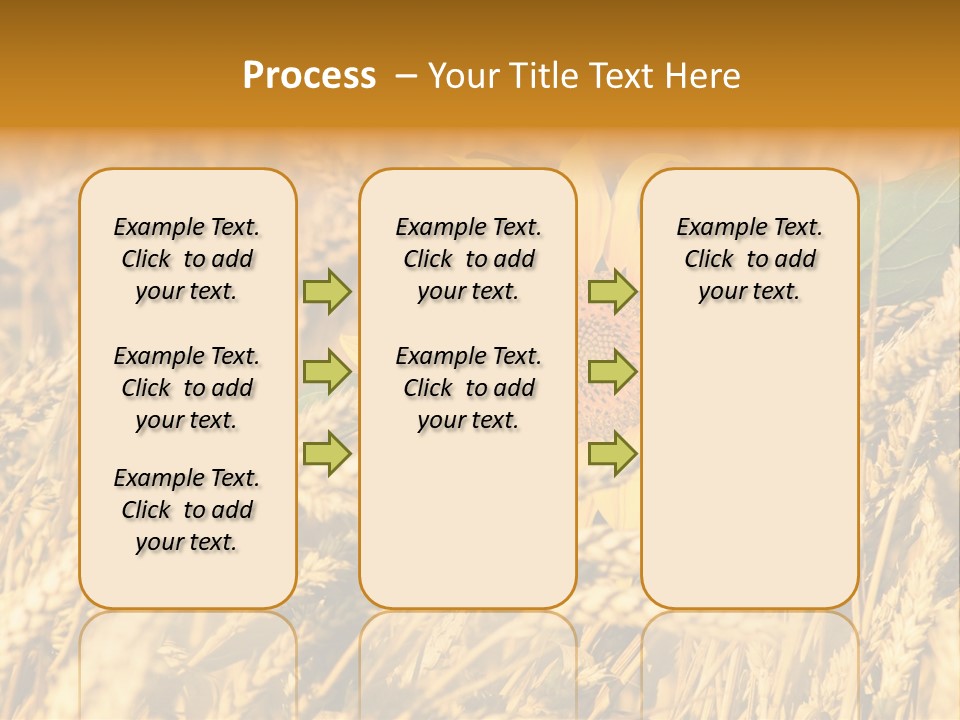 Wheat And Sunflower PowerPoint Template