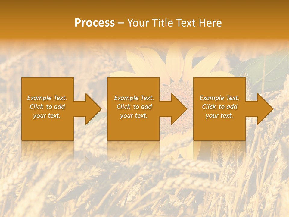 Wheat And Sunflower PowerPoint Template